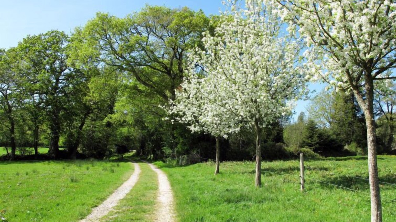 Photo of Outdoor in Saint-Sauveur-le-Vicomte
