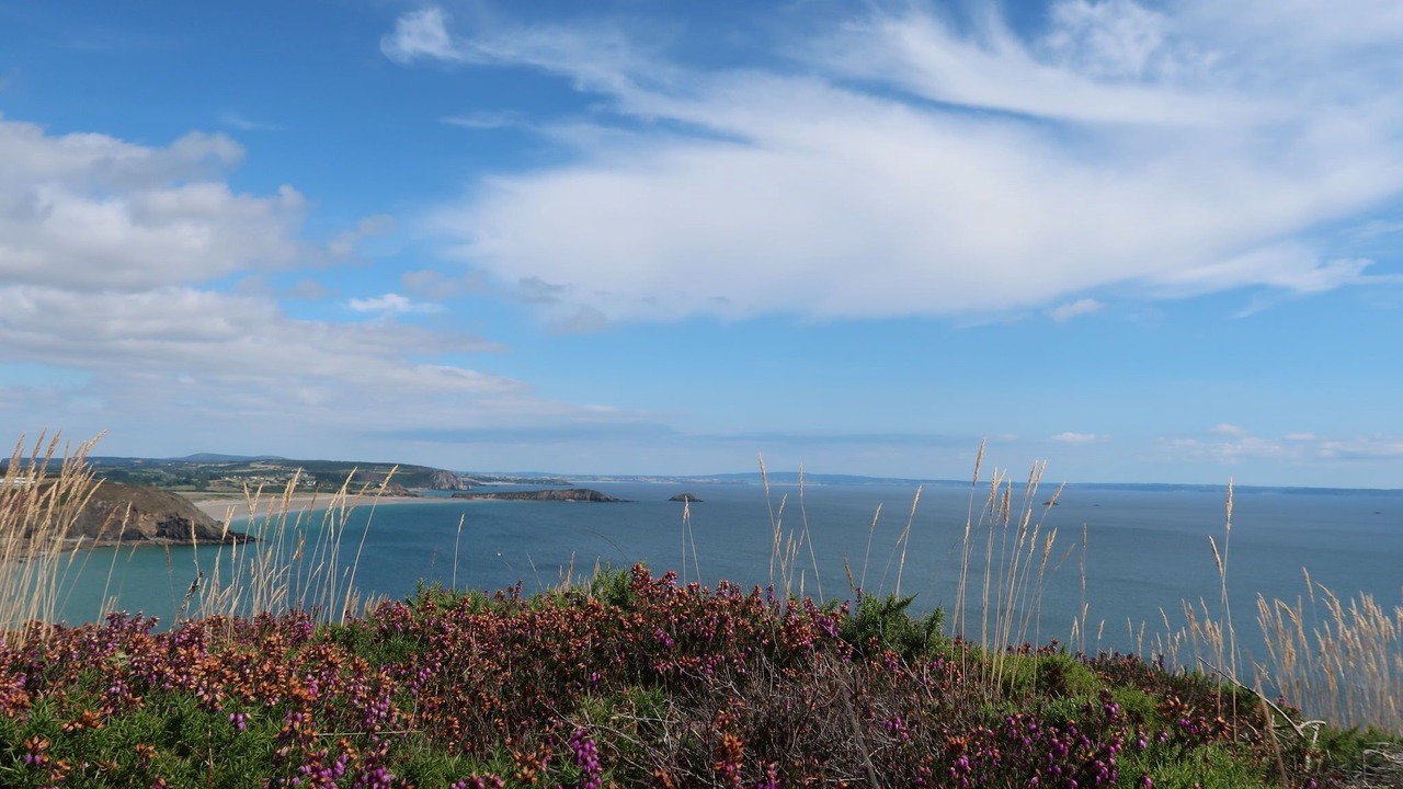 Photo of Others in Telgruc-sur-Mer