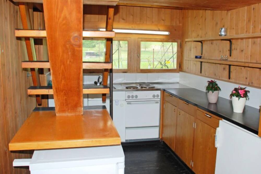 Photo of Kitchen in Monteggio