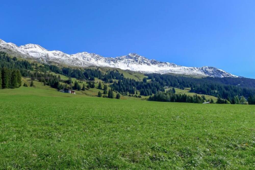 Photo of Outdoor in Parpan