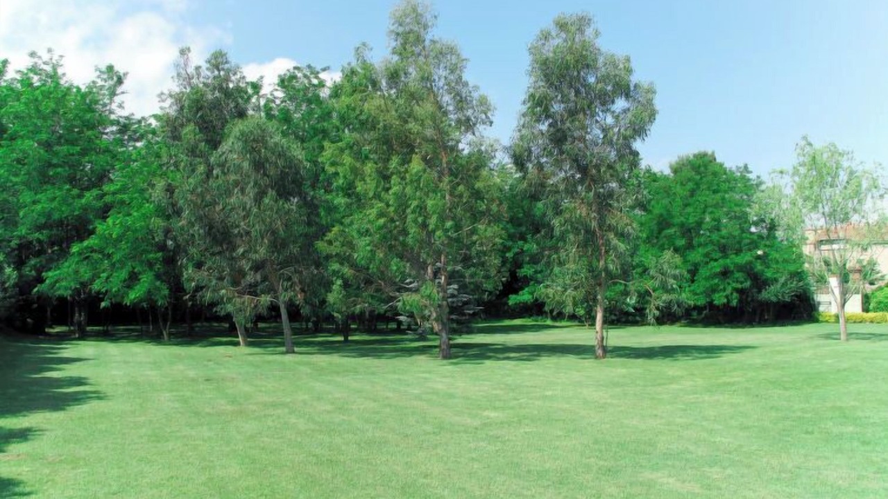 Photo of Others in Plage d'Argeles