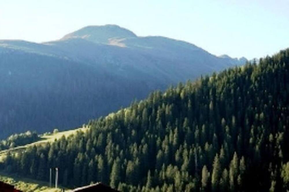 Photo of Others in Sedrun