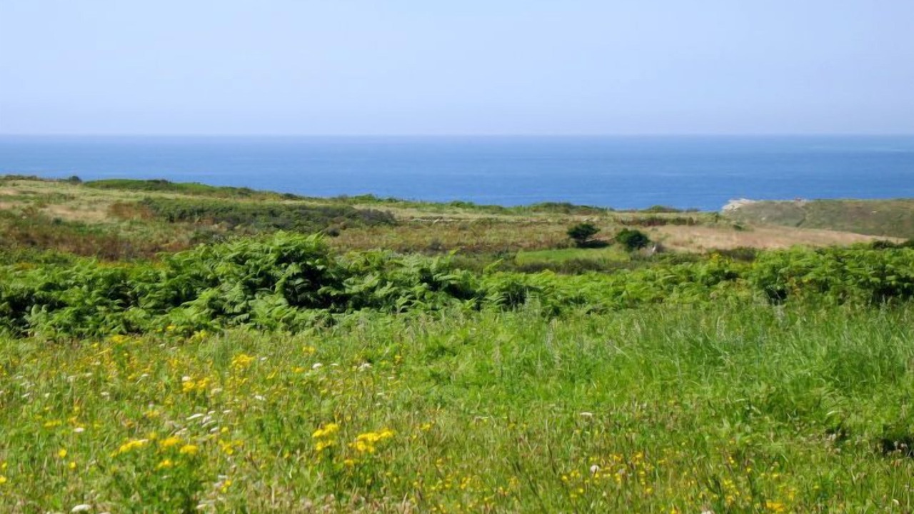 Photo of Others in Plogoff