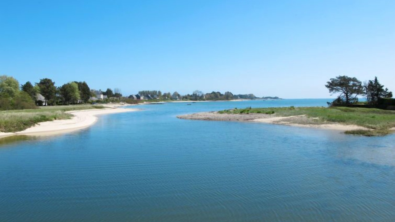 Photo of Others in Reville