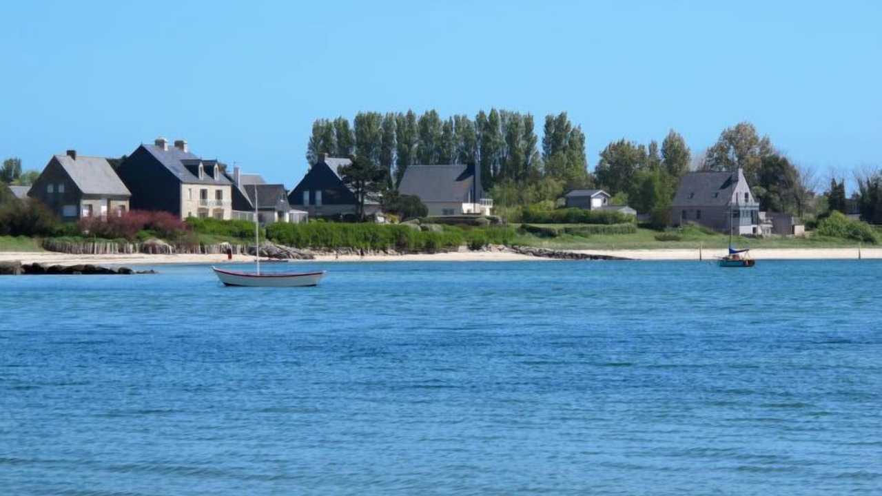 Photo of Others in Reville