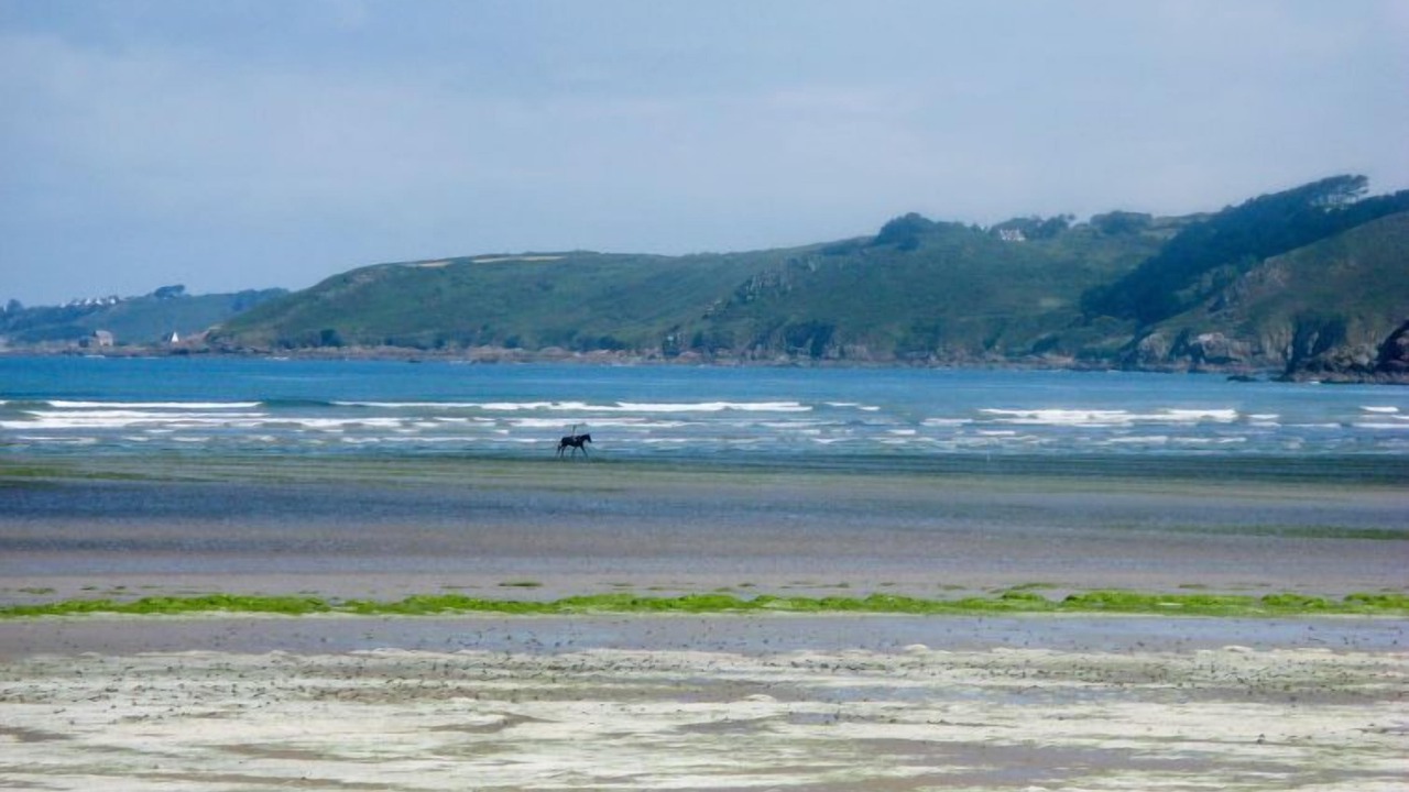 Photo of Others in Ploumilliau