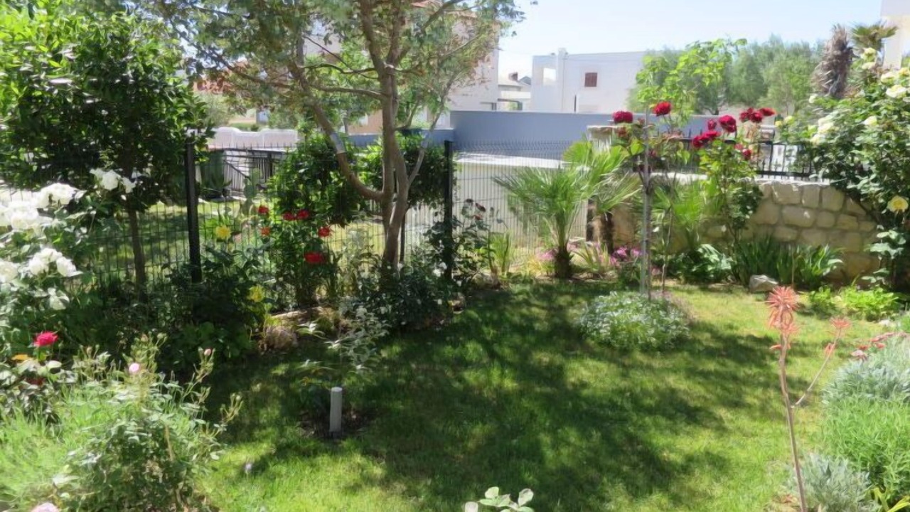 Photo of Outdoor in Vrsi