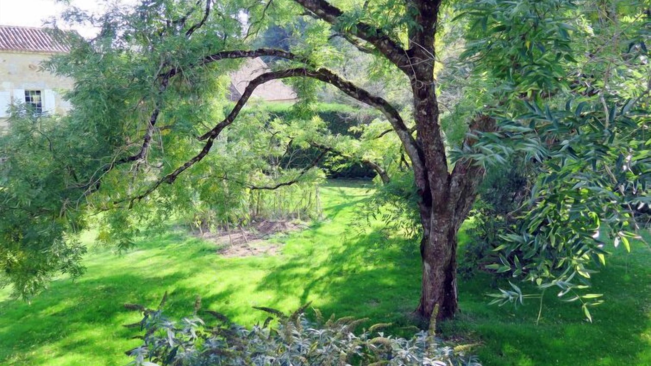 Photo of Outdoor in Saint-Georges-de-Montclard