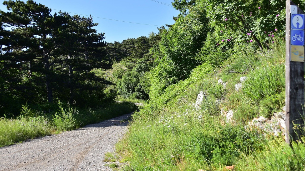 Photo of Outdoor in Sveti Juraj