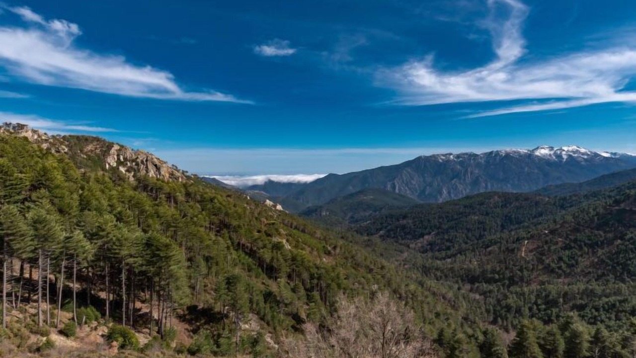 Photo of Outdoor in Ghisoni