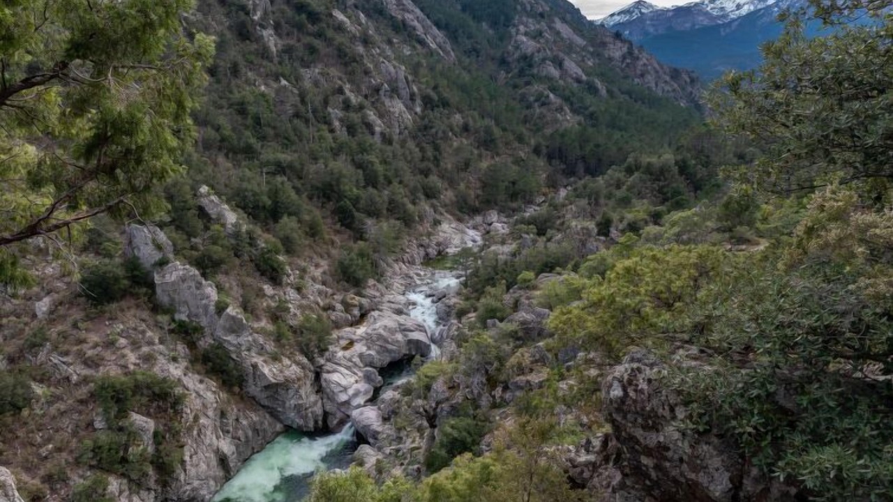 Photo of Outdoor in Ghisoni