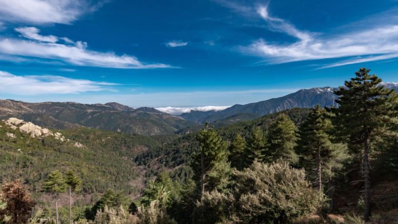 Photo of Outdoor in Ghisoni