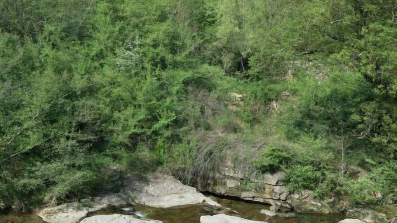Photo of Outdoor in Saint-Genest-de-Bauzon