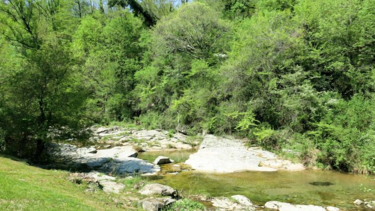 Photo of Outdoor in Saint-Genest-de-Bauzon