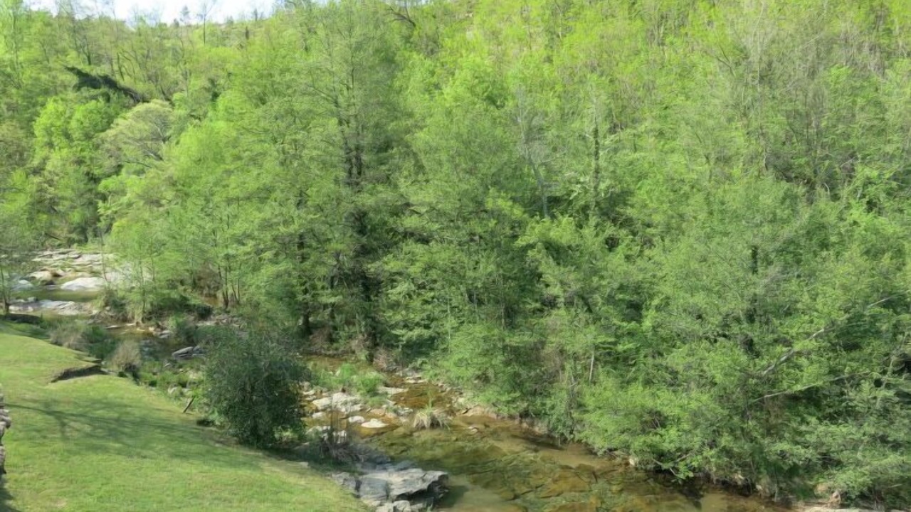Photo of Outdoor in Saint-Genest-de-Bauzon