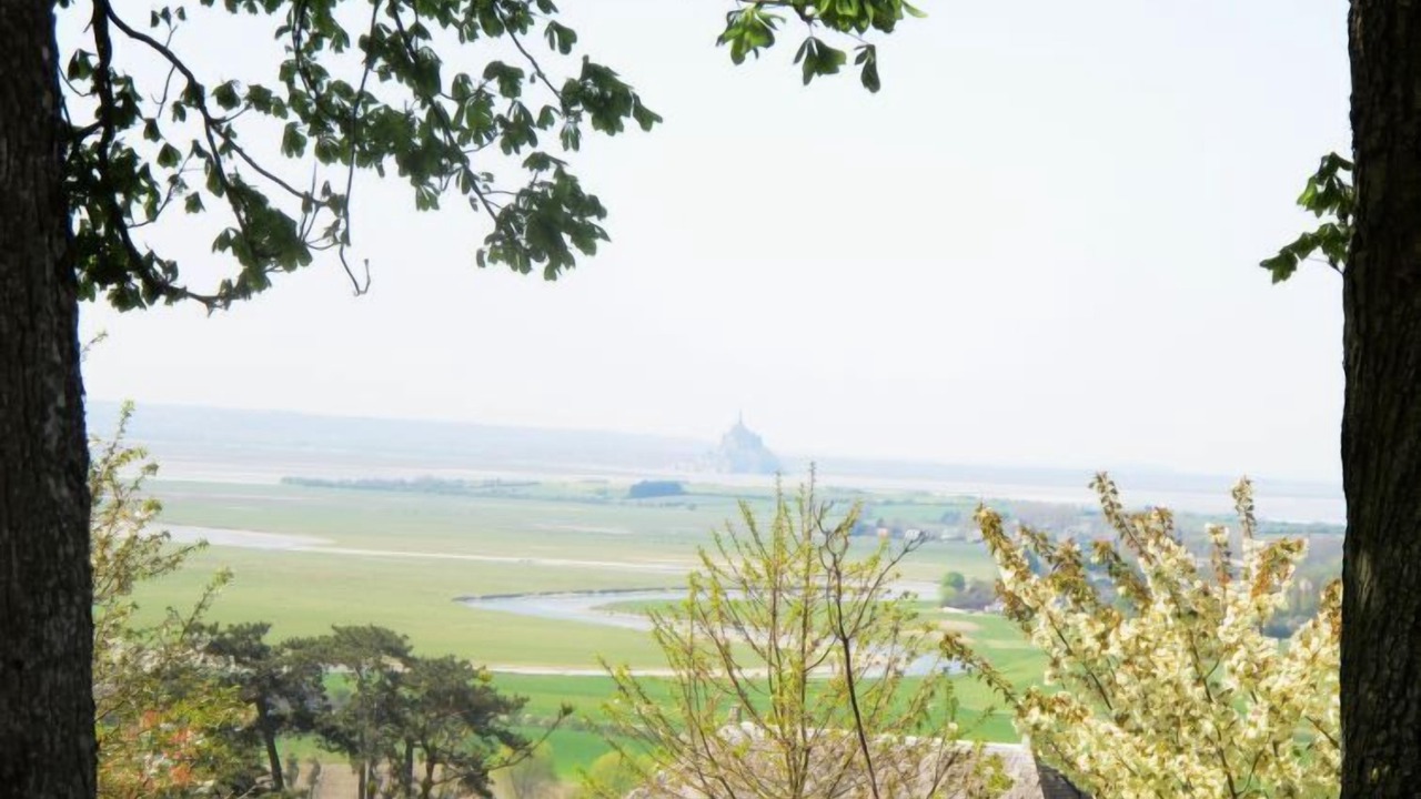 Photo of Others in Vains