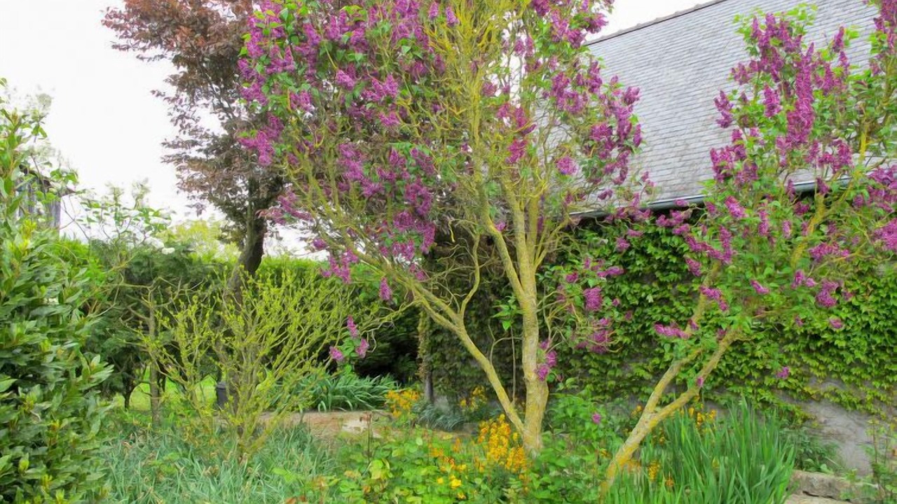 Photo of Outdoor in Vains