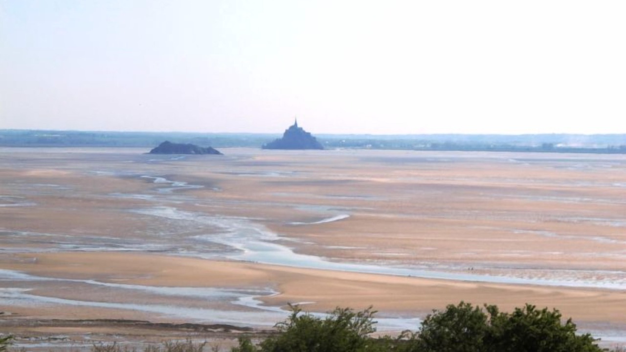 Photo of Others in Vains