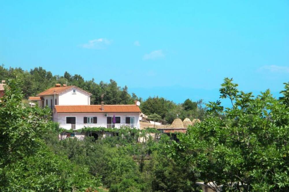 Photo of Outdoor in Sveta Jelena