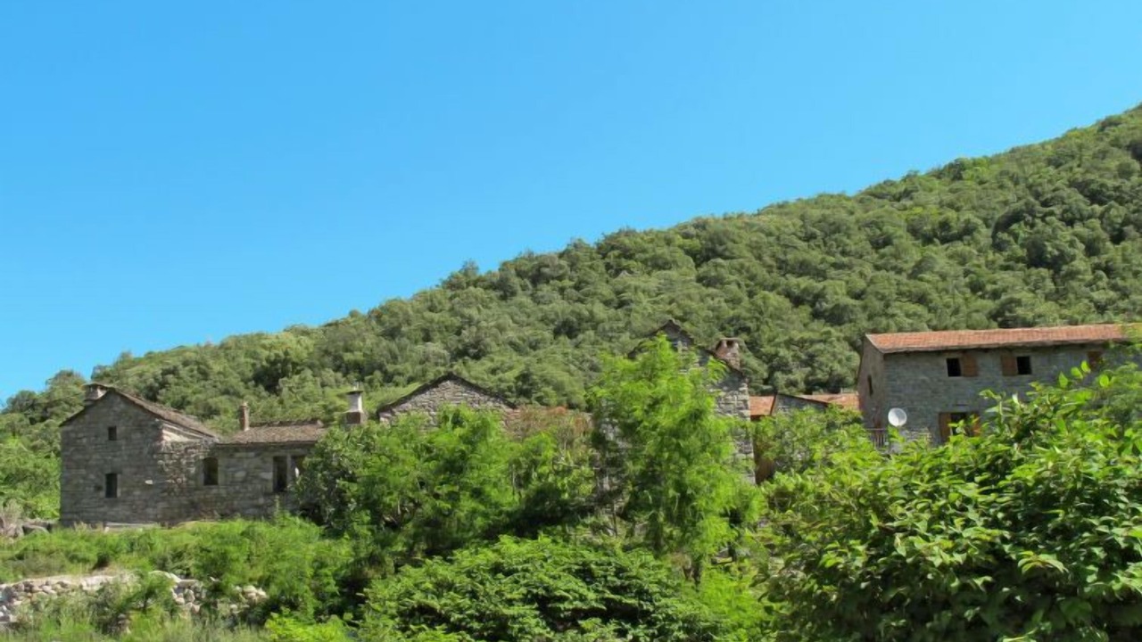 Photo of Others in Sainte-Marguerite-Lafigere
