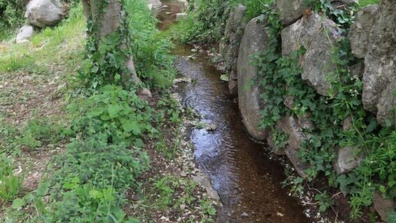Photo of Outdoor in Sainte-Marguerite-Lafigere