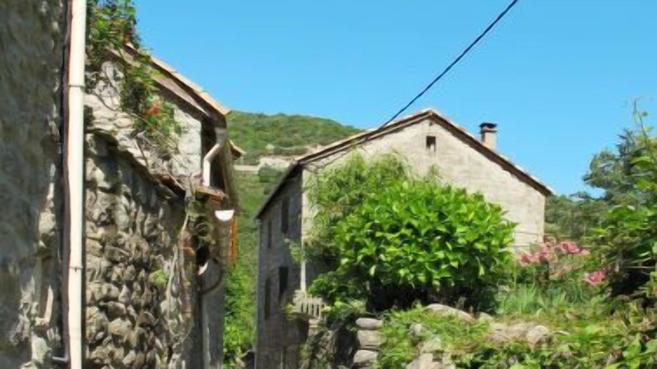 Photo of Outdoor in Sainte-Marguerite-Lafigere