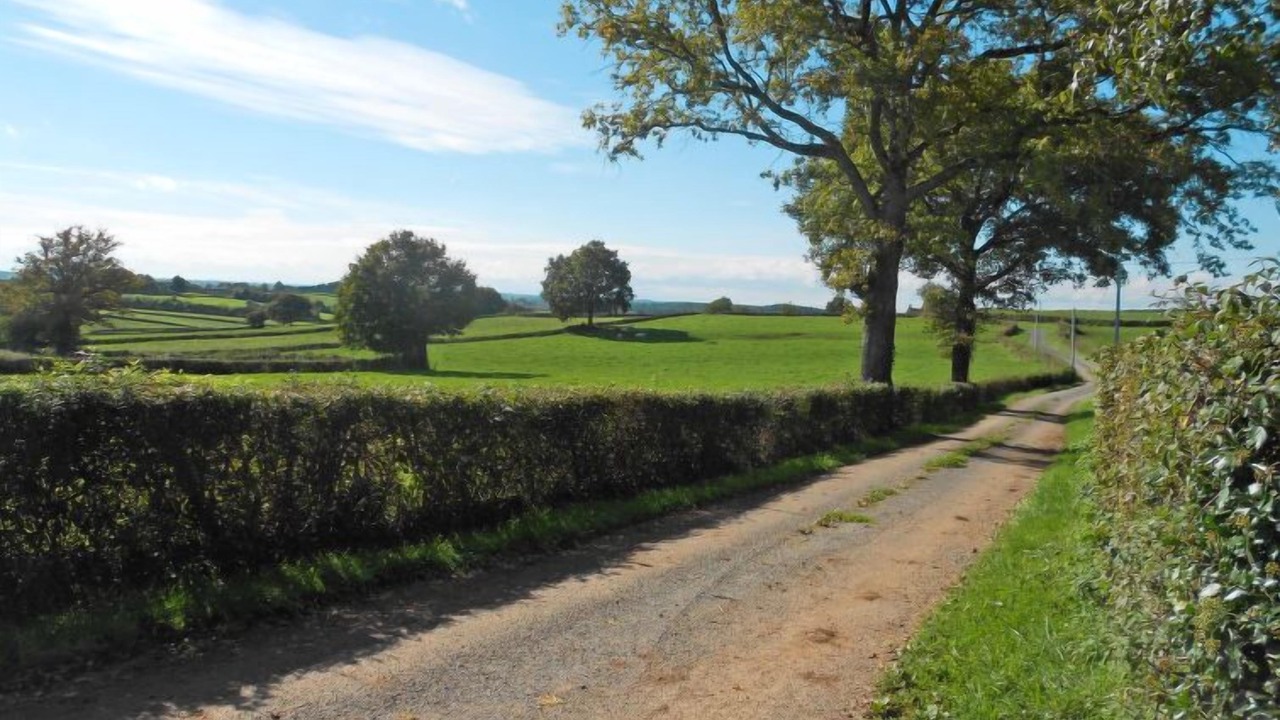 Photo of Outdoor in Ternant