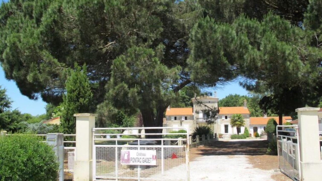 Photo of Outdoor in Jau-Dignac-et-Loirac