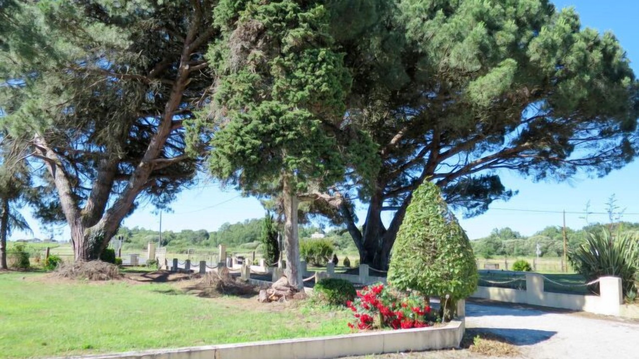 Photo of Outdoor in Jau-Dignac-et-Loirac