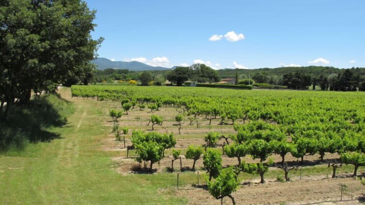 Photo of Outdoor in Grillon