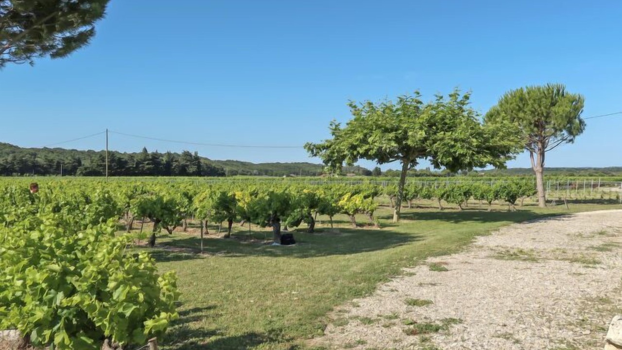 Photo of Outdoor in Grillon