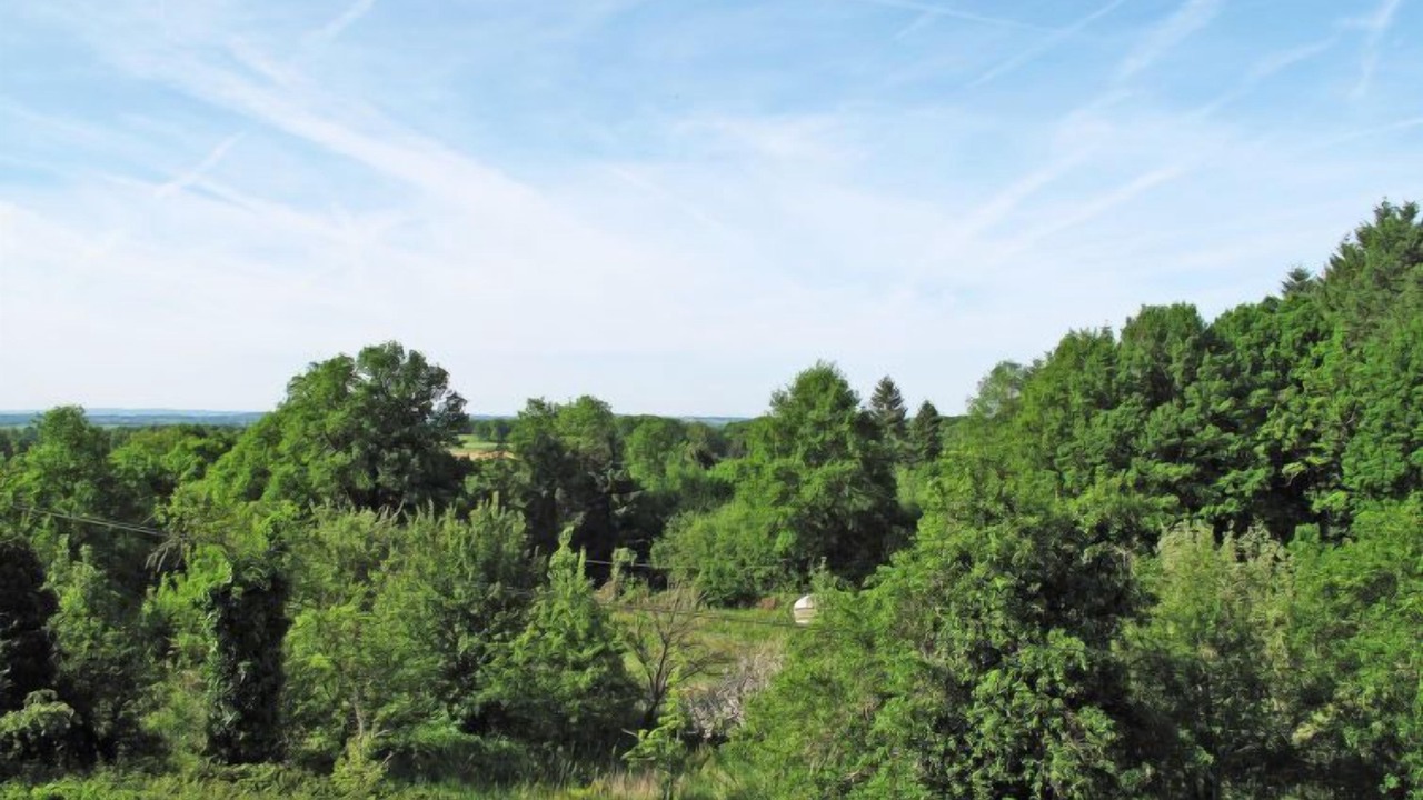 Photo of Outdoor in Saint-Sulpice-les-Feuilles