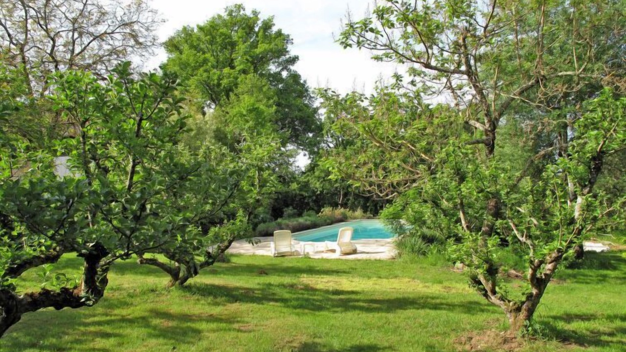 Photo of Outdoor in Saint-Sulpice-les-Feuilles