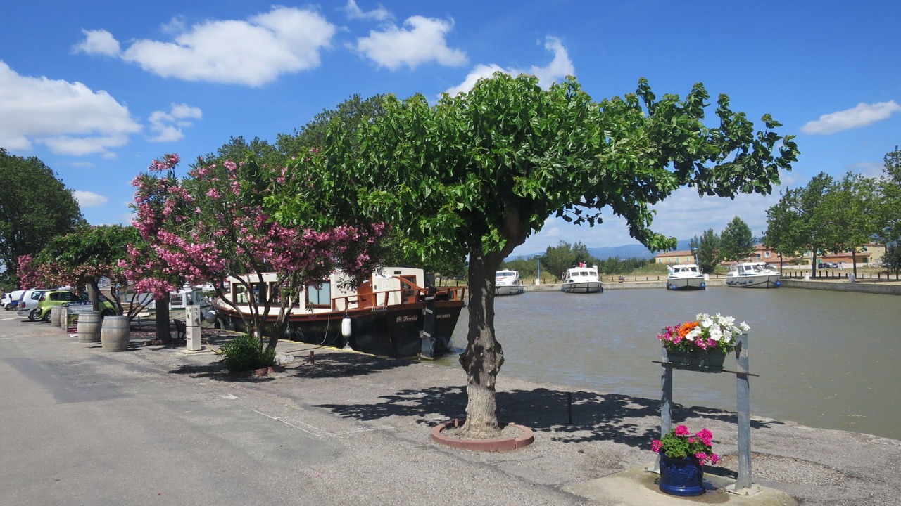 Photo of Outdoor in Homps