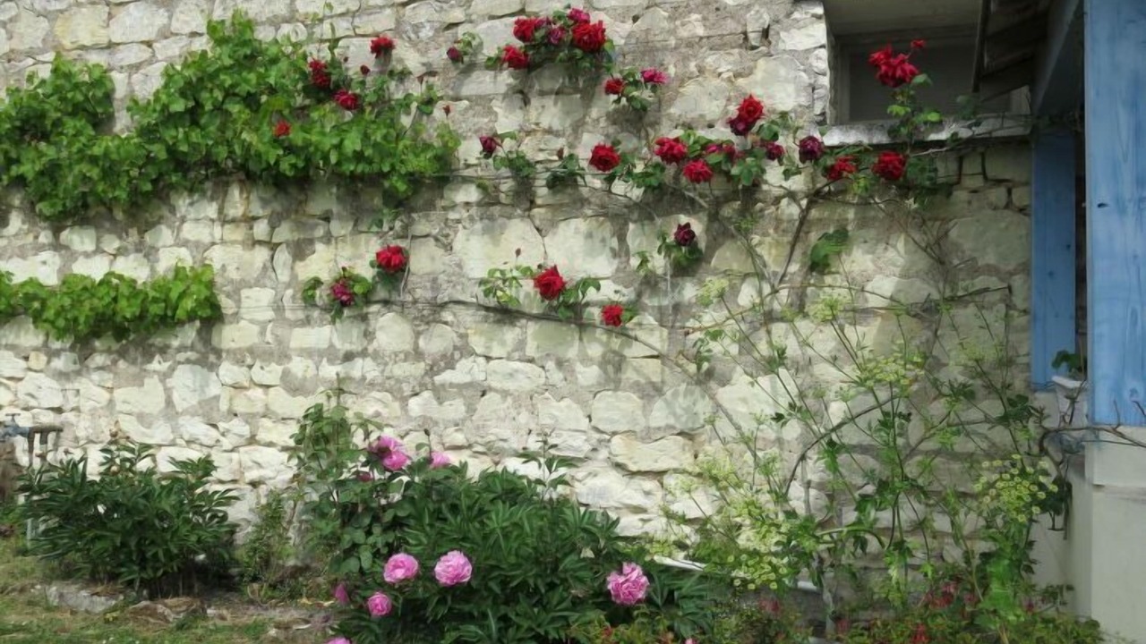 Photo of Outdoor in Huismes