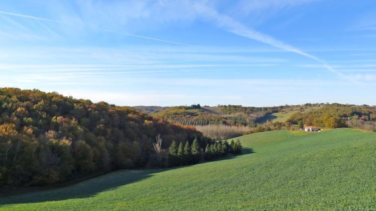 Photo of Others in L'Honor-de-Cos