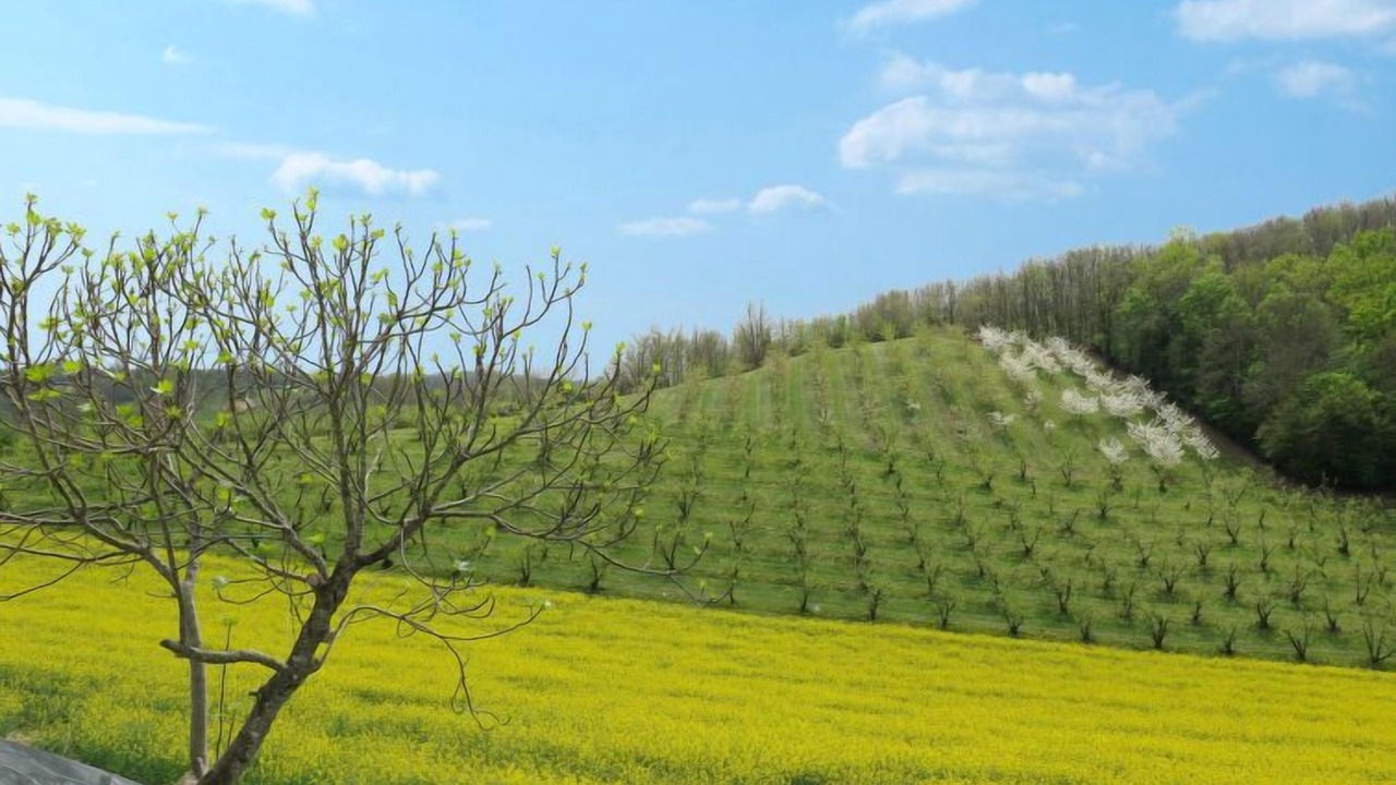 Photo of Outdoor in L'Honor-de-Cos