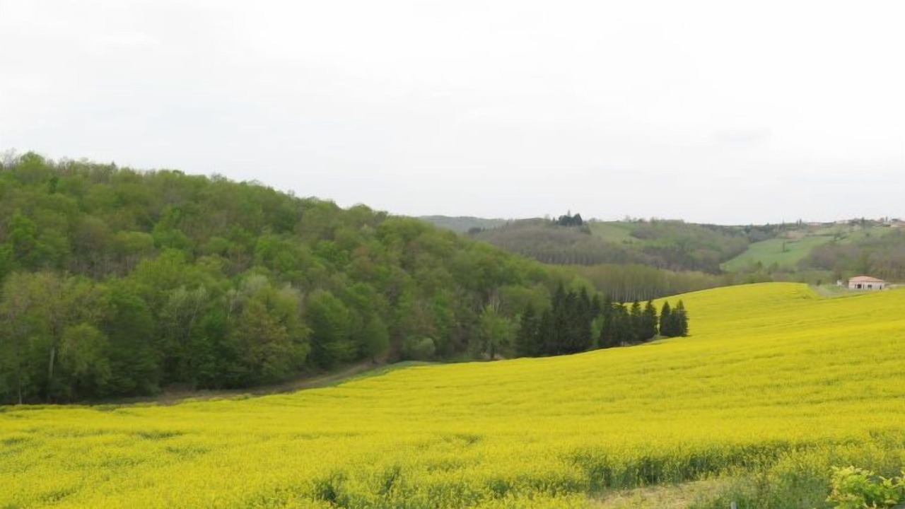 Photo of Others in L'Honor-de-Cos