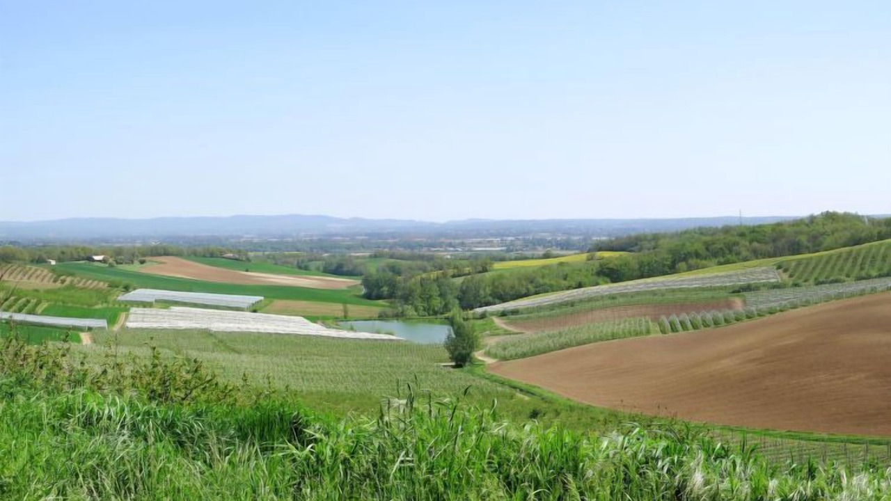 Photo of Others in L'Honor-de-Cos