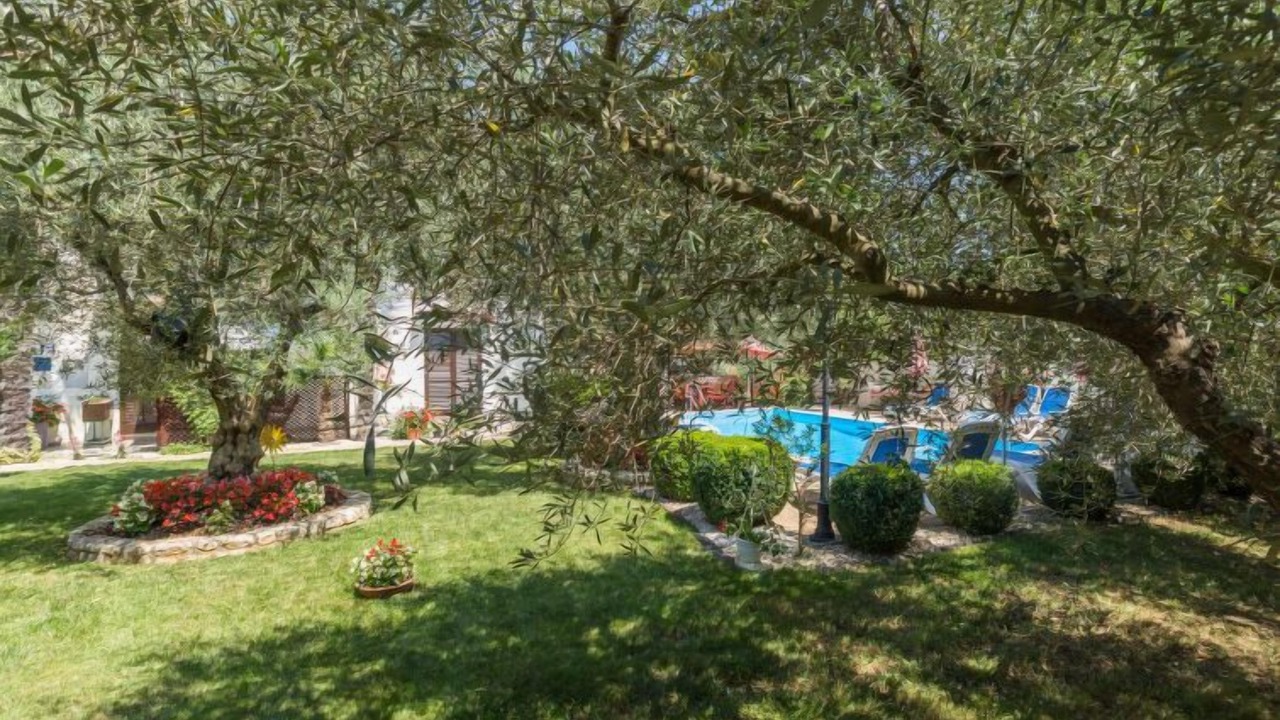 Photo of Outdoor in Kosinozici