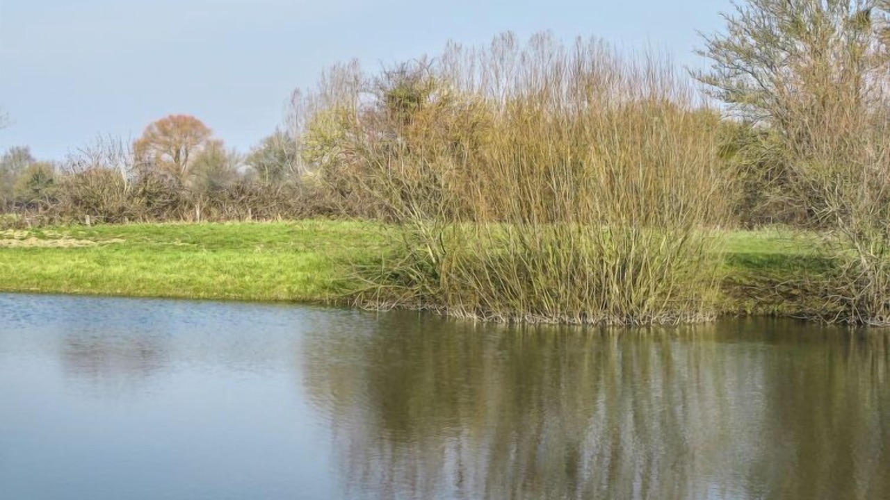 Photo of Outdoor in Corbon