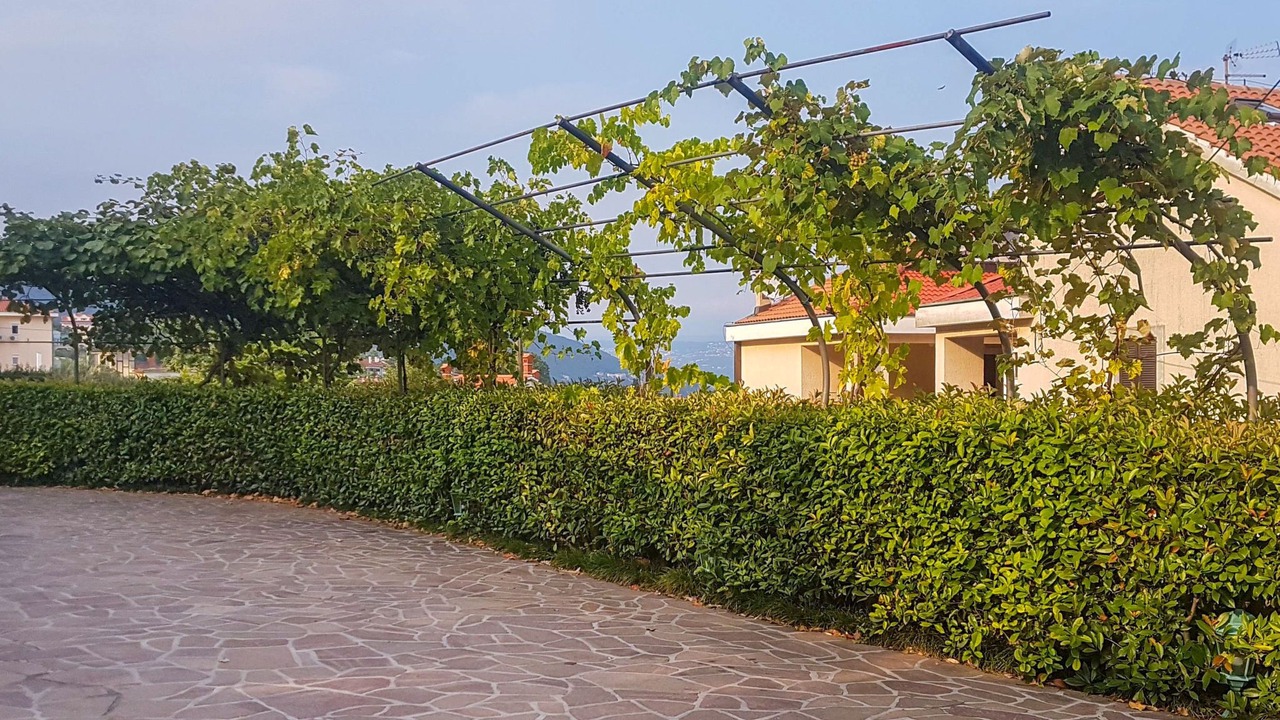 Photo of Outdoor in Lovran