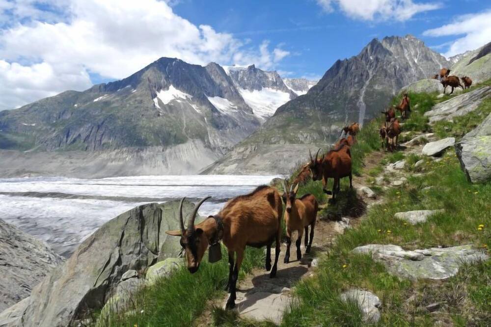Photo of Outdoor in Ernen