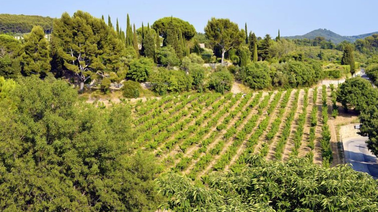 Photo of Outdoor in Le Castellet