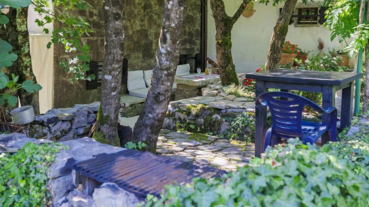 Photo of Outdoor in Kotli