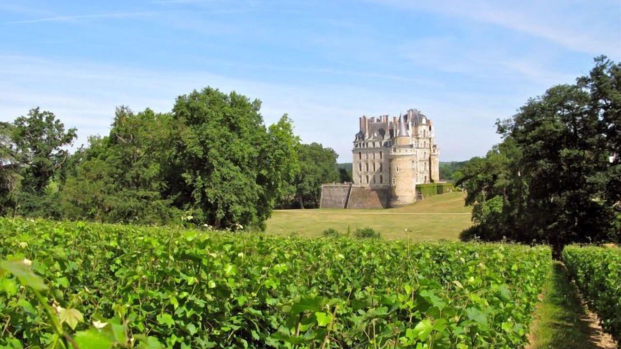 Photo of Outdoor in Restigne