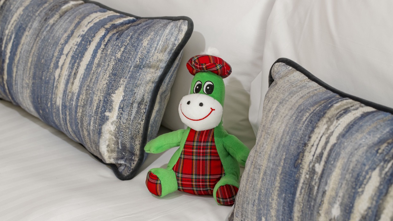 Photo of Others in Balloch