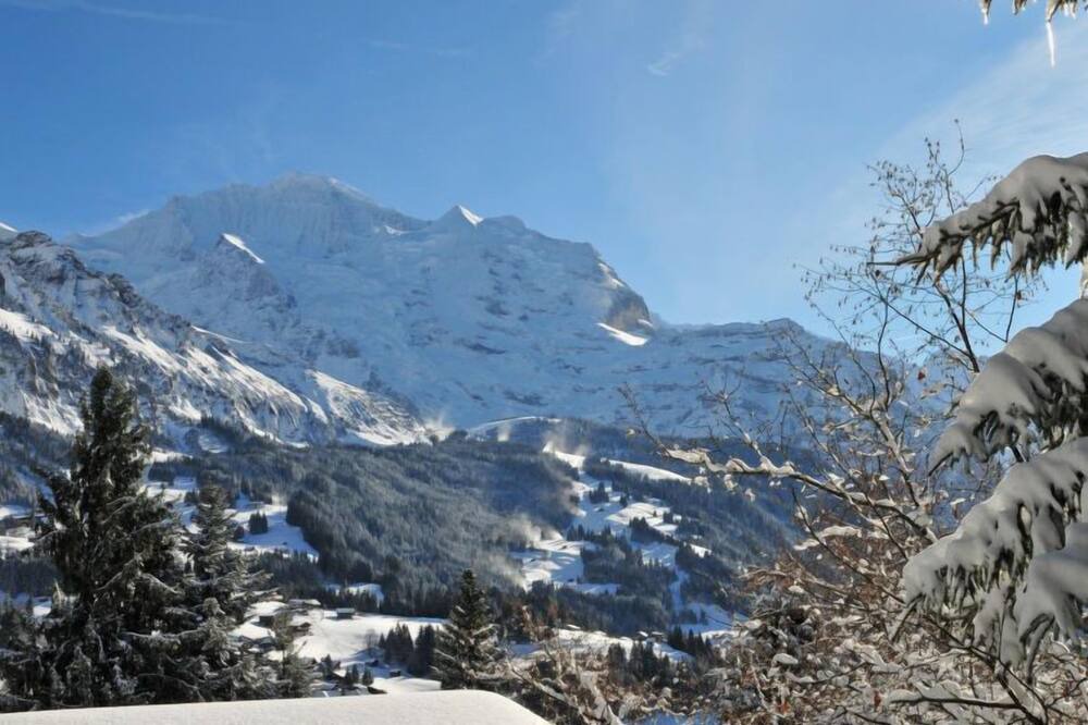 Photo of Outdoor in Wengen