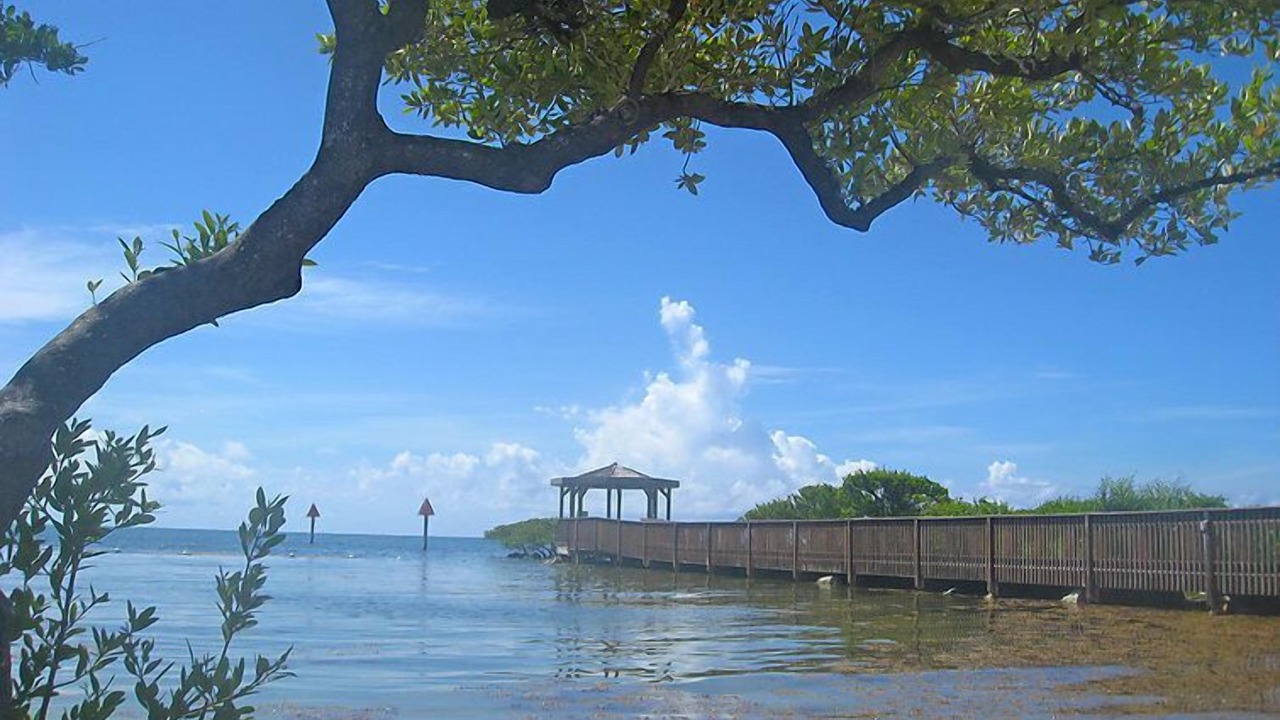 Photo of Others in Tavernier