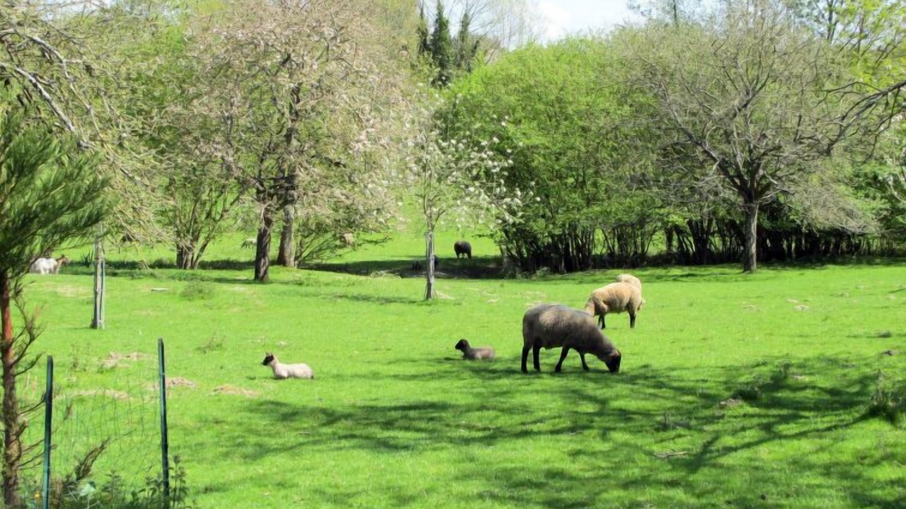 Photo of Others in Hudimesnil